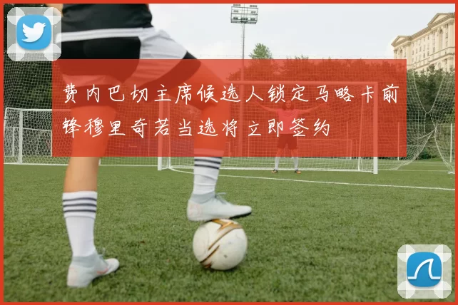 费内巴切主席候选人锁定马略卡前锋穆里奇若当选将立即签约